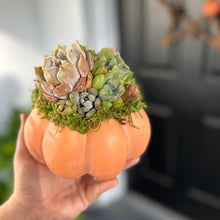 Load image into Gallery viewer, 6" Light Orange Succulent Pumpkin