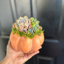 Load image into Gallery viewer, 6" Light Orange Succulent Pumpkin