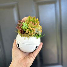 Load image into Gallery viewer, 4.75" Succulent Jingle Bell Ornament