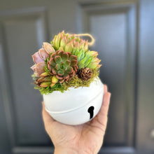 Load image into Gallery viewer, 4.75" Succulent Jingle Bell Ornament