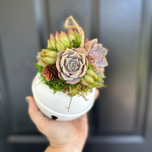 Load image into Gallery viewer, 4.75" Succulent Jingle Bell Ornament