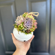 Load image into Gallery viewer, 4.75" Succulent Jingle Bell Ornament