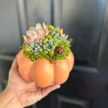Load image into Gallery viewer, 6" Light Orange Succulent Pumpkin
