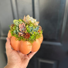 Load image into Gallery viewer, 6" Light Orange Succulent Pumpkin