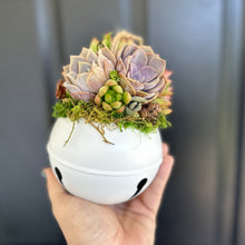 Load image into Gallery viewer, 4.75" Succulent Jingle Bell Ornament