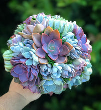 Load image into Gallery viewer, Succulent Bouquets