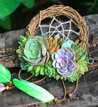Load image into Gallery viewer, 6" Succulent Dreamcatcher