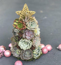 Load image into Gallery viewer, 9" Mini Aurora Succulent Tree (Succulent Christmas Tree)