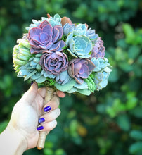 Load image into Gallery viewer, Succulent Bouquets