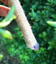 Load image into Gallery viewer, Succulent Bouquets