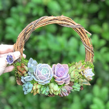 Load image into Gallery viewer, 10" Succulent Wreath