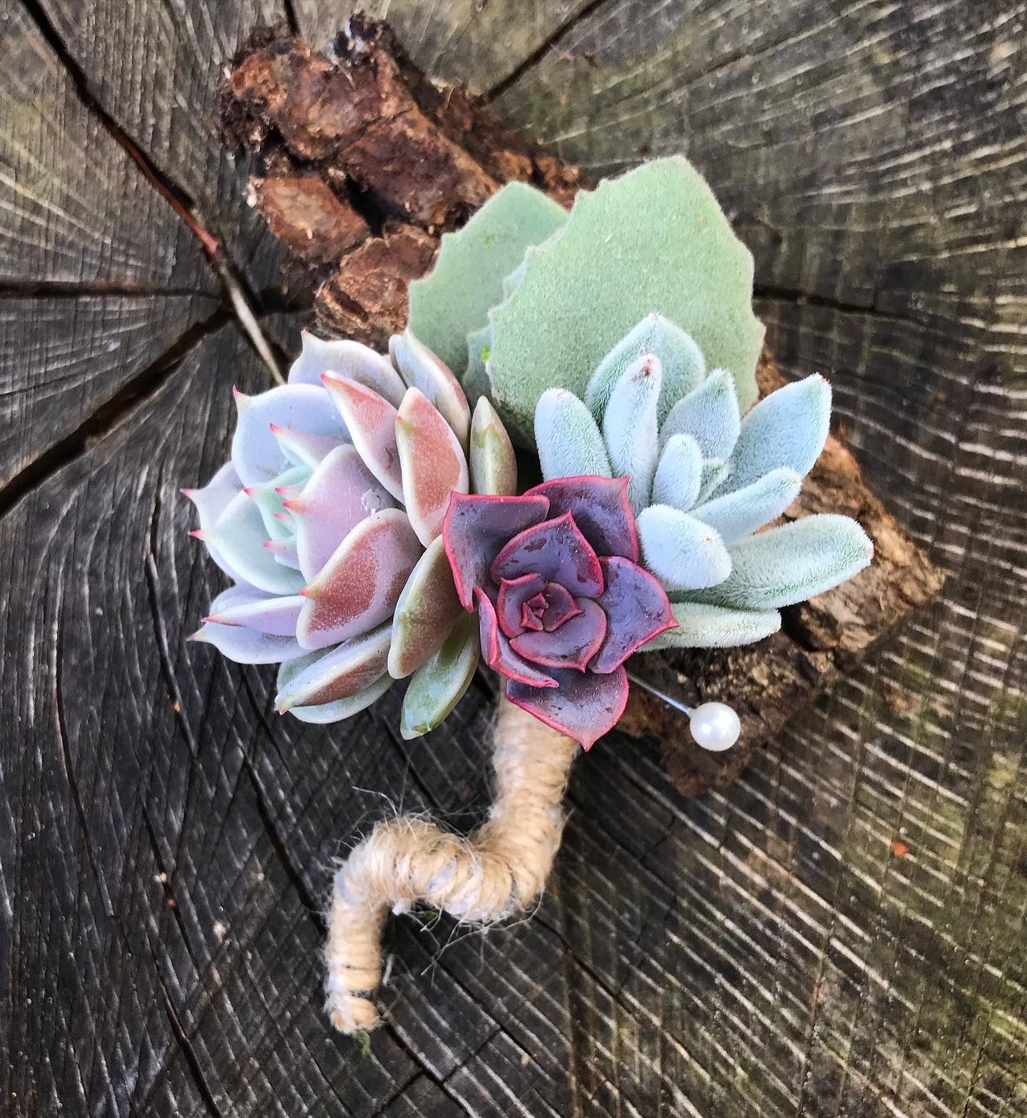 Succulent Boutonnières – Terracotta Corner