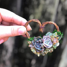 Load image into Gallery viewer, 2.5" Succulent Heart Ornament