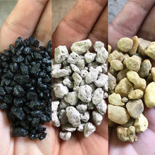 Load image into Gallery viewer, DIY FAUX Succulent Terrarium Kit 7"x6" (BLACK)