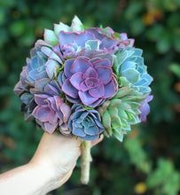Load image into Gallery viewer, Succulent Bouquets