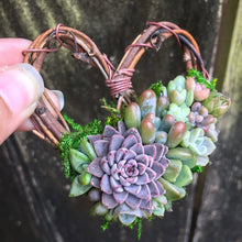 Load image into Gallery viewer, 2.5" Succulent Heart Ornament
