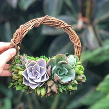 Load image into Gallery viewer, 6" Succulent Wreath