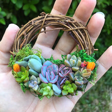 Load image into Gallery viewer, 3" Succulent Wreath Ornament