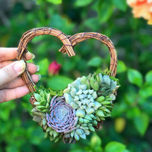 Load image into Gallery viewer, 5" Succulent Heart Wreath