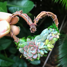 Load image into Gallery viewer, 2.5" Succulent Heart Ornament