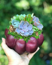Load image into Gallery viewer, 6" Purple Succulent Pumpkin
