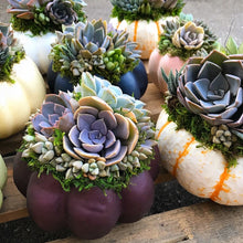 Load image into Gallery viewer, 6" Purple Succulent Pumpkin