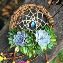 Load image into Gallery viewer, 8" Succulent Dreamcatcher