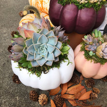 Load image into Gallery viewer, White Succulent Pumpkin (10" and 6" sizes)