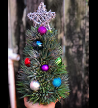 Load image into Gallery viewer, 13" Alpine Succulent Tree (Succulent Christmas Tree)