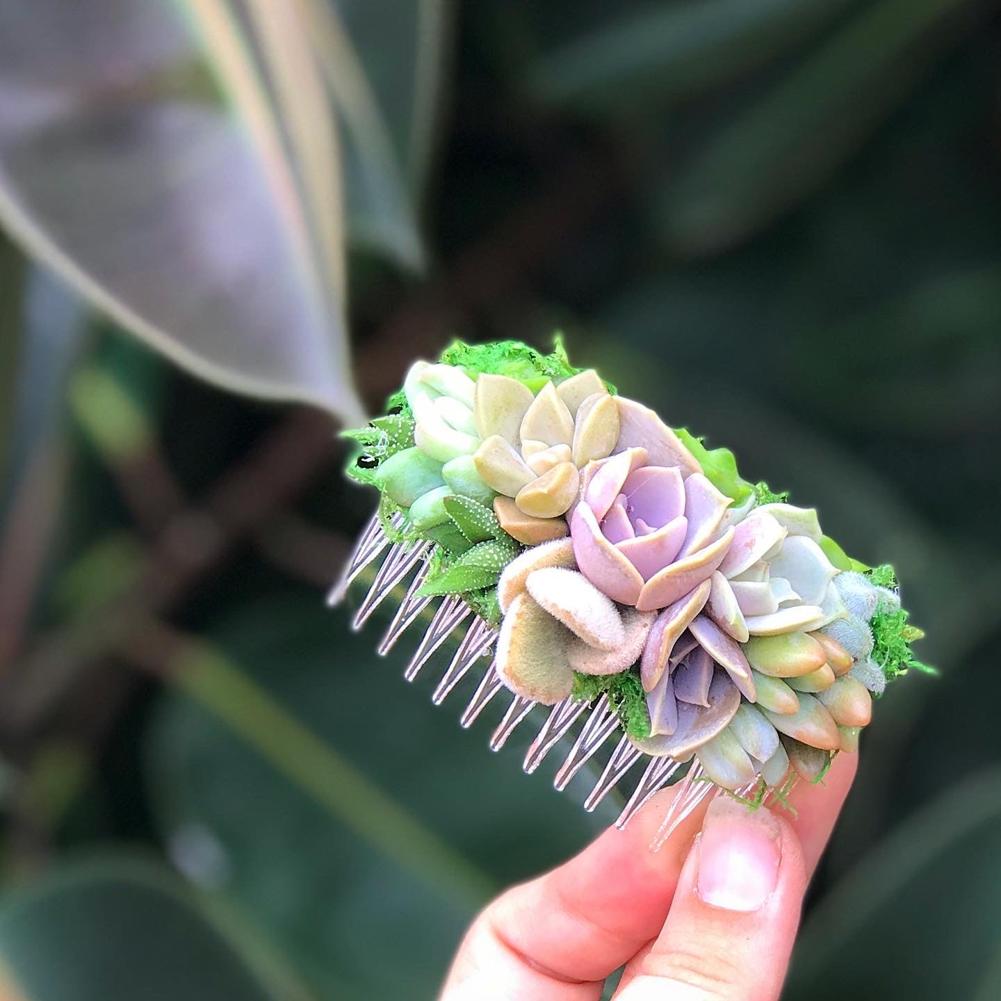 succulent with hair Succulent Hair Comb