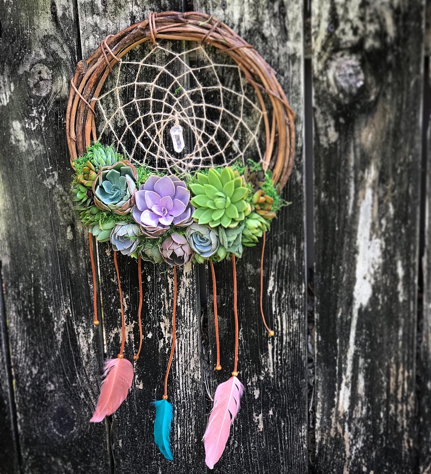 succulent wind chime 12" Succulent Dreamcatcher – Terracotta Corner