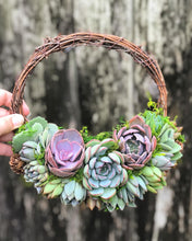 Load image into Gallery viewer, 8" Succulent Wreath