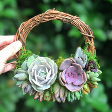 Load image into Gallery viewer, 6" Succulent Wreath