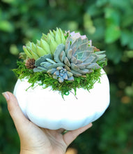 Load image into Gallery viewer, White Succulent Pumpkin (10" and 6" sizes)