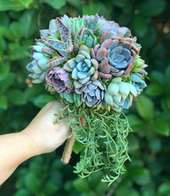 Load image into Gallery viewer, Succulent Bouquets
