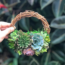 Load image into Gallery viewer, 6" Succulent Wreath