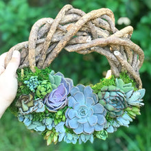 Load image into Gallery viewer, 13" Wooden Succulent Wreath