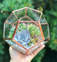 Load image into Gallery viewer, DIY Succulent Terrarium Kit 7"x6" (ROSE GOLD)