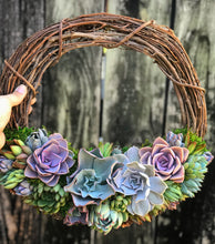 Load image into Gallery viewer, 12" Succulent Wreath