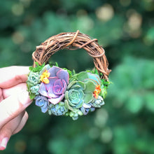 Load image into Gallery viewer, 3" Succulent Wreath Ornament