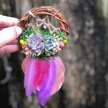 Load image into Gallery viewer, 3" Succulent Dreamcatcher Ornament
