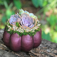 Load image into Gallery viewer, 6" Purple Succulent Pumpkin