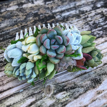 Load image into Gallery viewer, Succulent Hair Comb