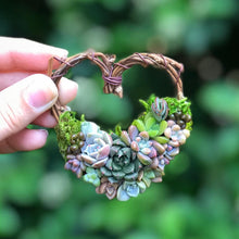 Load image into Gallery viewer, 2.5" Succulent Heart Ornament
