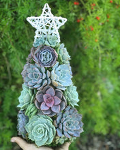 Load image into Gallery viewer, 13" Aurora Succulent Tree (Succulent Christmas Tree)