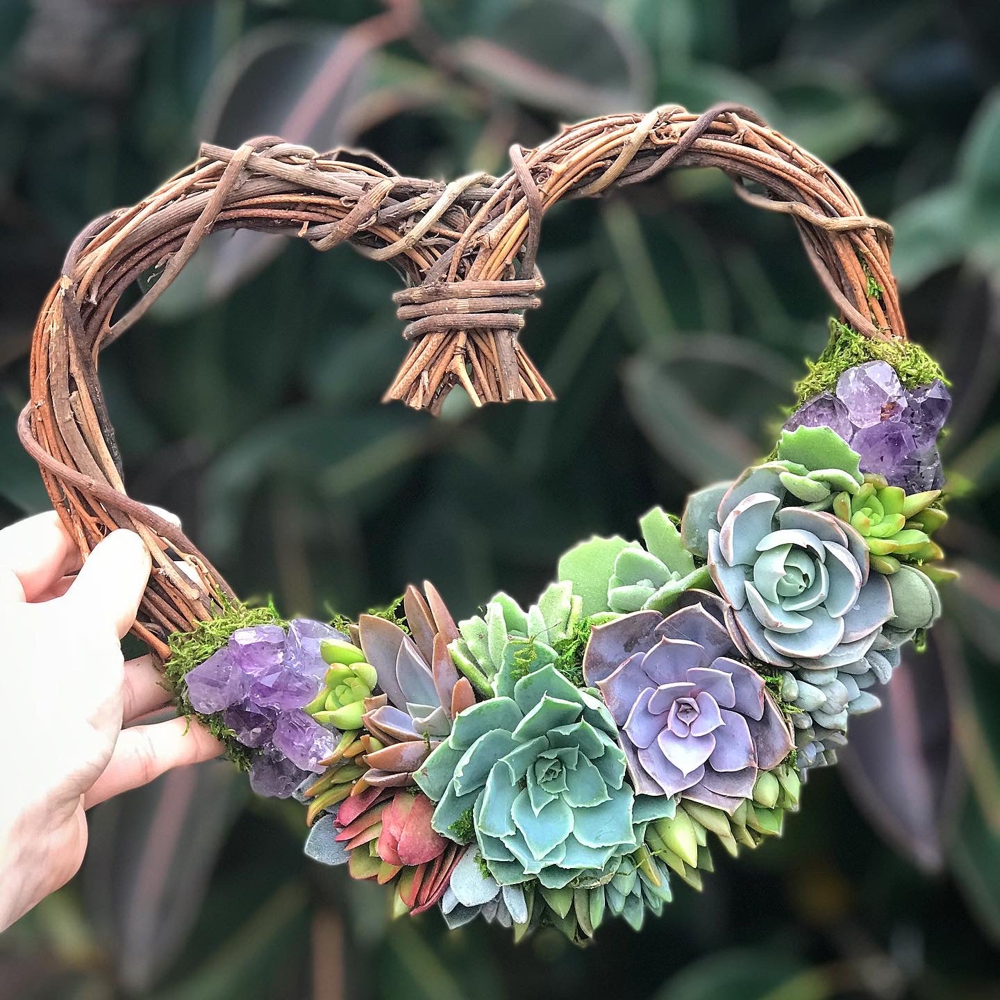 hearts and flowers succulent 9