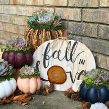 Load image into Gallery viewer, 6" Blue Succulent Pumpkin