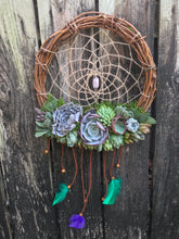 Load image into Gallery viewer, 12" Succulent Dreamcatcher