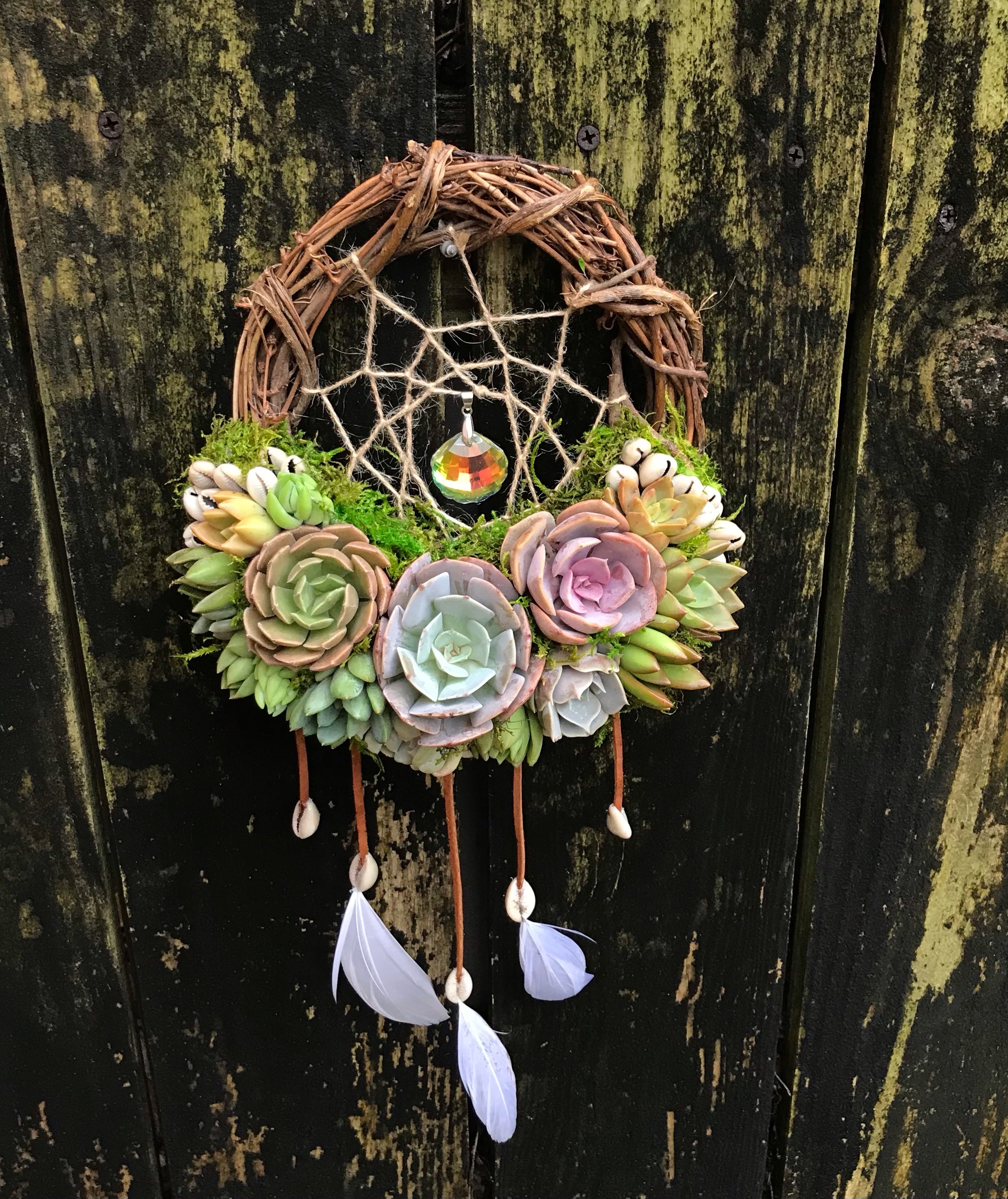 dream catcher with succulents 8" Succulent Dreamcatcher