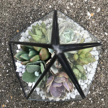 Load image into Gallery viewer, DIY Succulent Terrarium Kit 6.25" x 8.75" (BLACK)